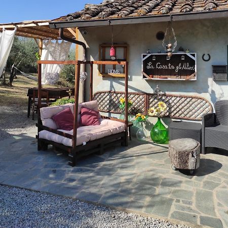 La Casa Tra Gli Ulivi Bed & Breakfast Cortona Eksteriør bilde