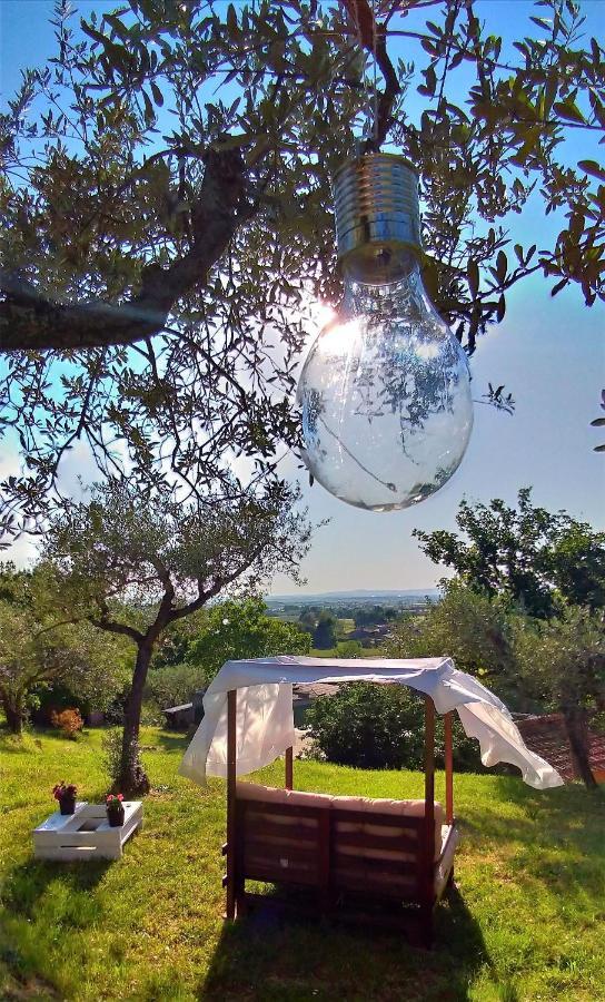 La Casa Tra Gli Ulivi Bed & Breakfast Cortona Eksteriør bilde