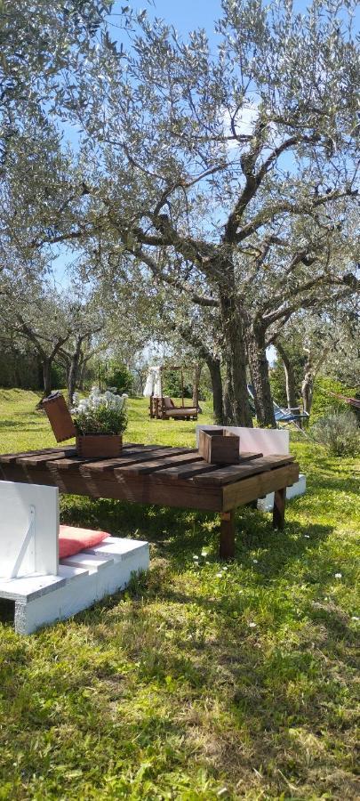 La Casa Tra Gli Ulivi Bed & Breakfast Cortona Eksteriør bilde