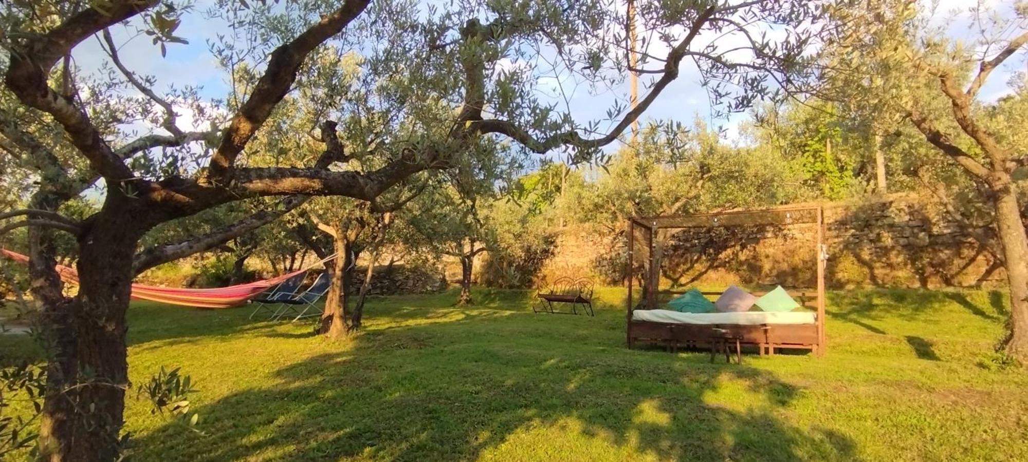 La Casa Tra Gli Ulivi Bed & Breakfast Cortona Eksteriør bilde