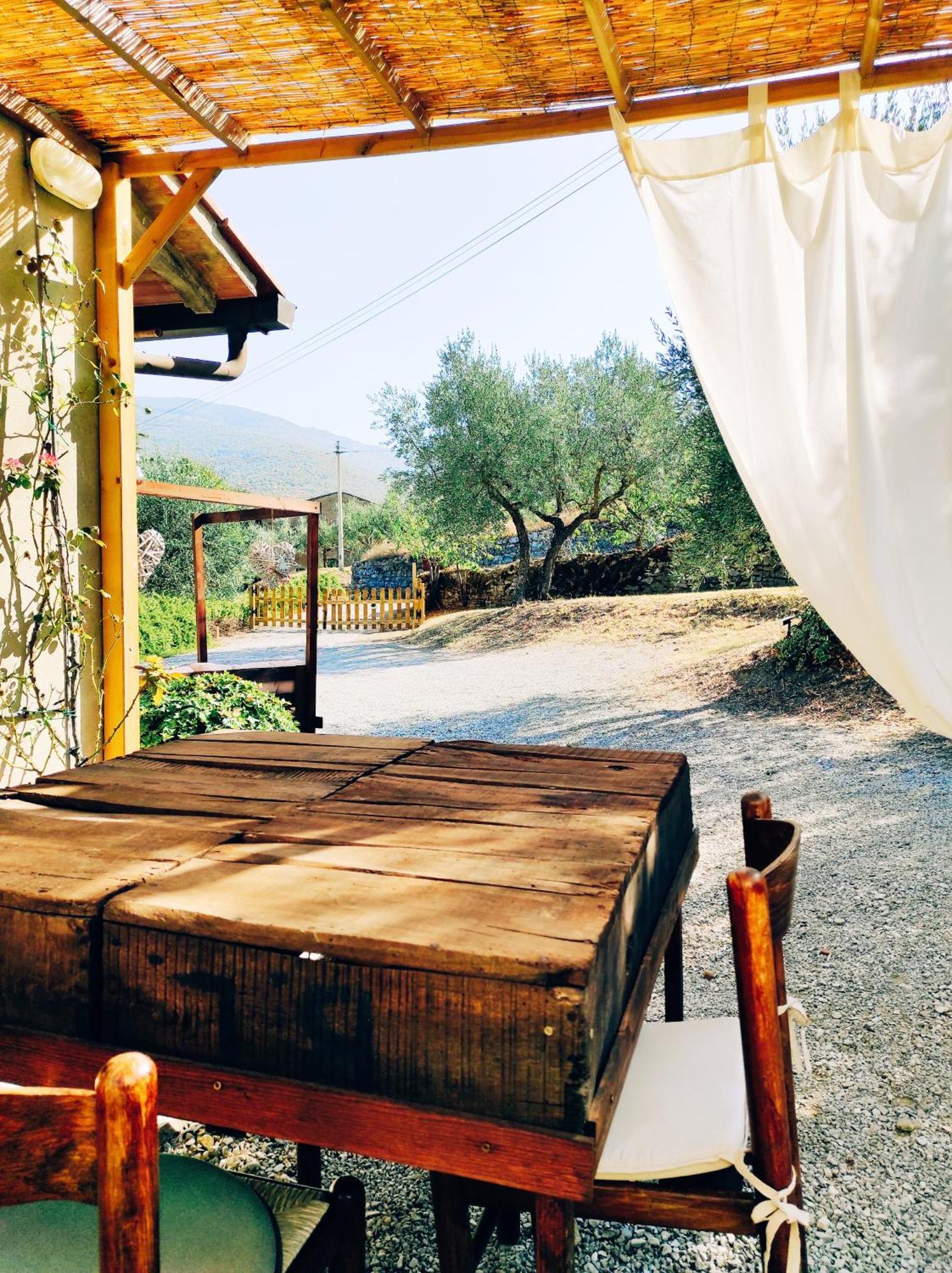 La Casa Tra Gli Ulivi Bed & Breakfast Cortona Eksteriør bilde